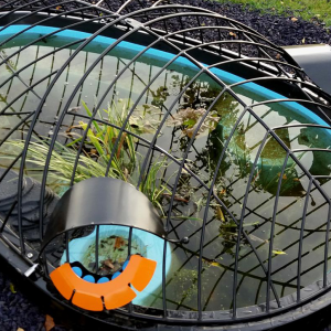 ready to fit small bug shaped pond cover