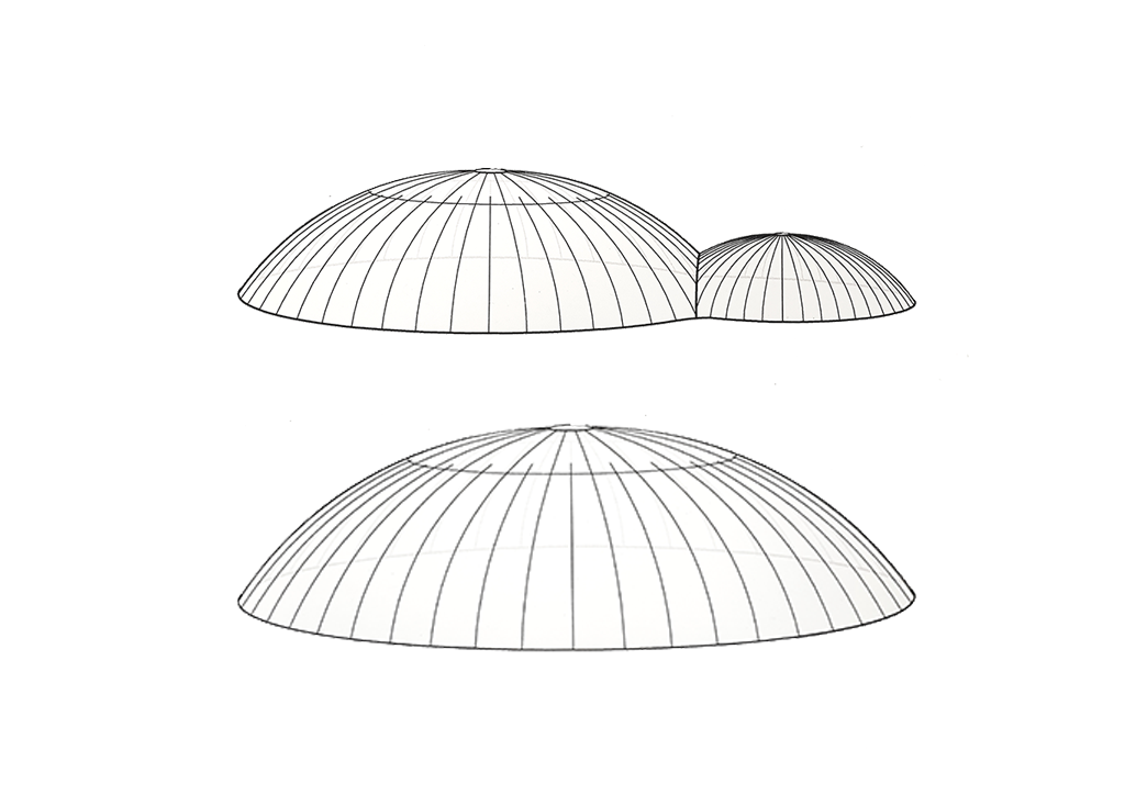 school dome pond safety cover