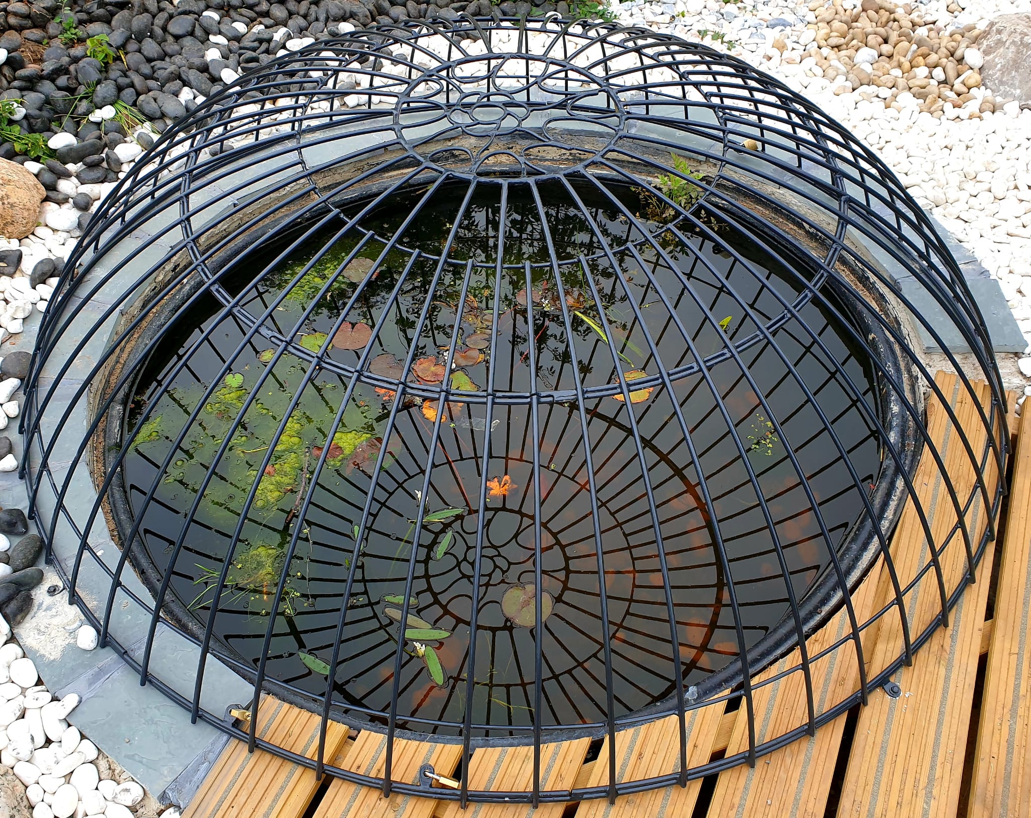 School Pond Cover